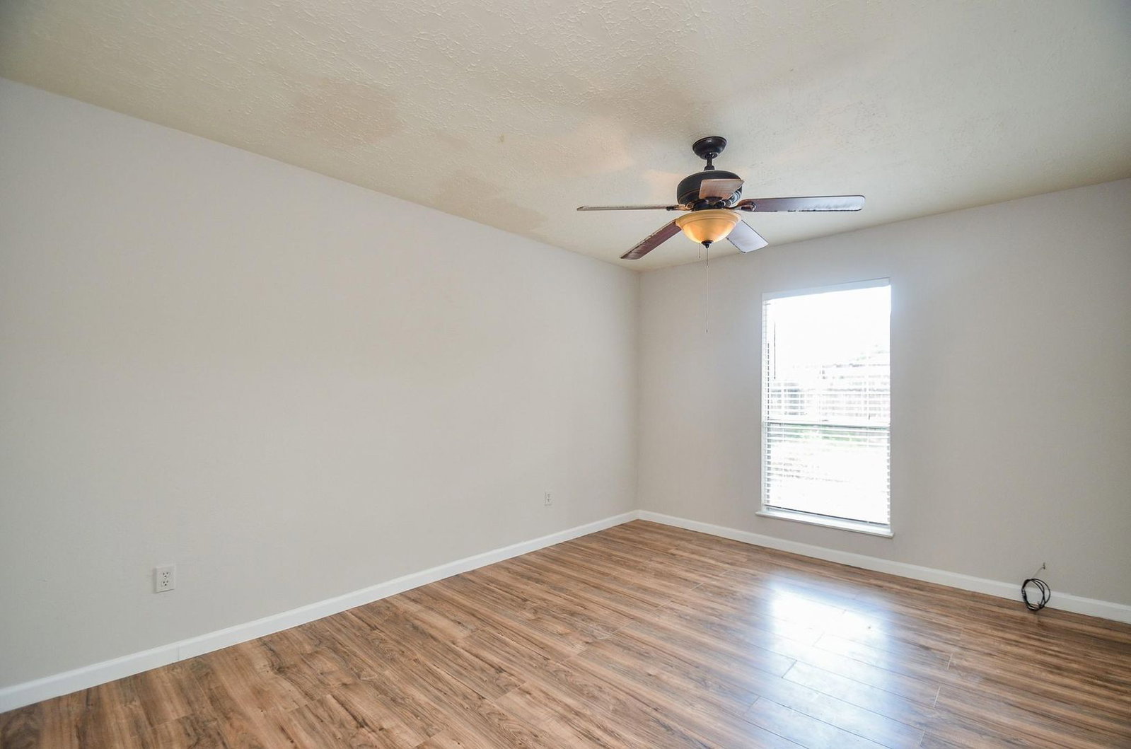 Gallery Image 19