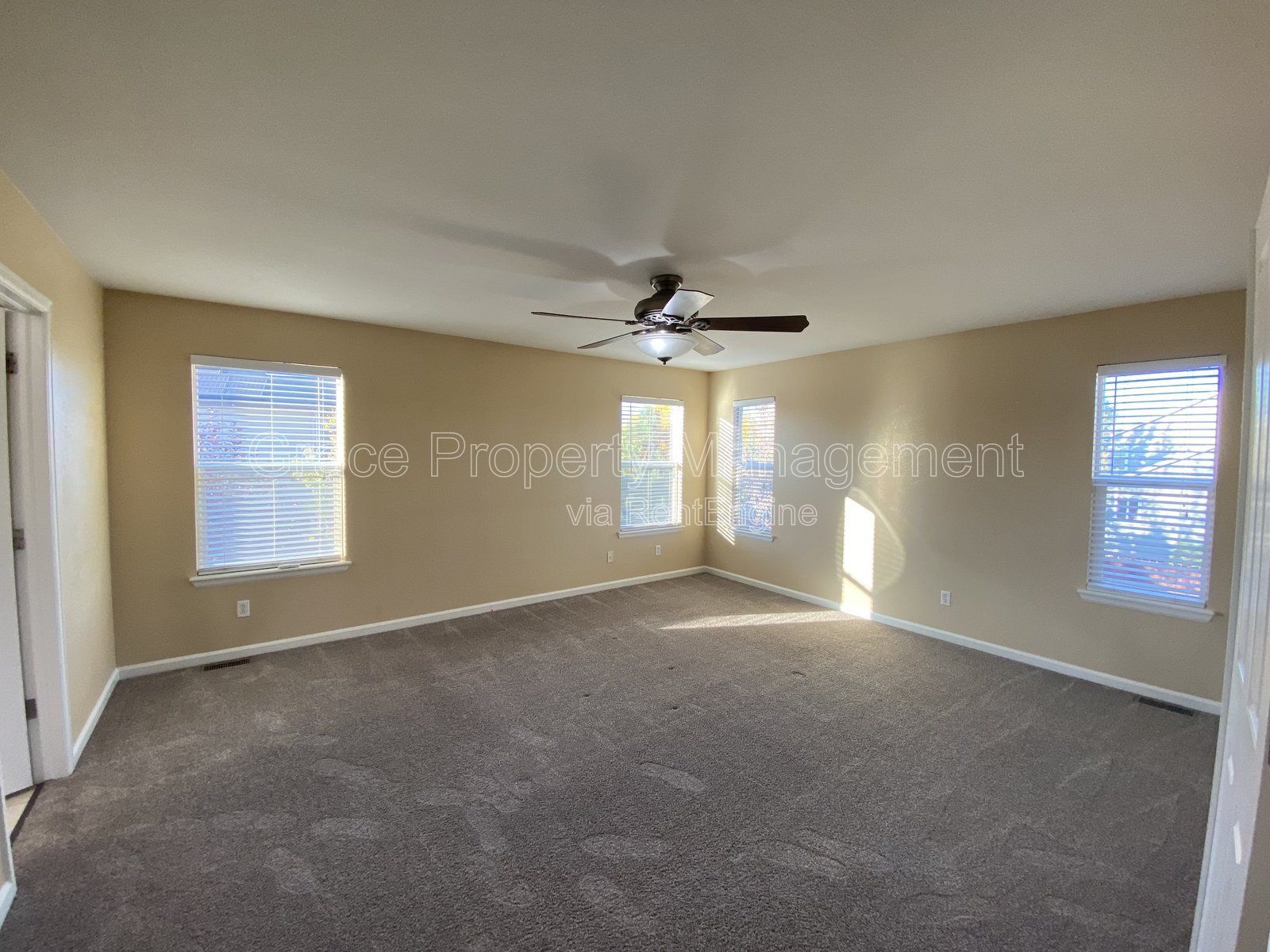 Gallery Image 19
