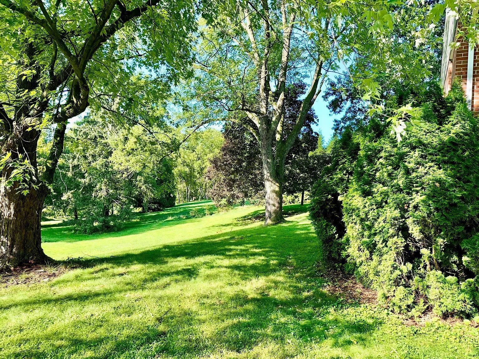 Gallery Image 18