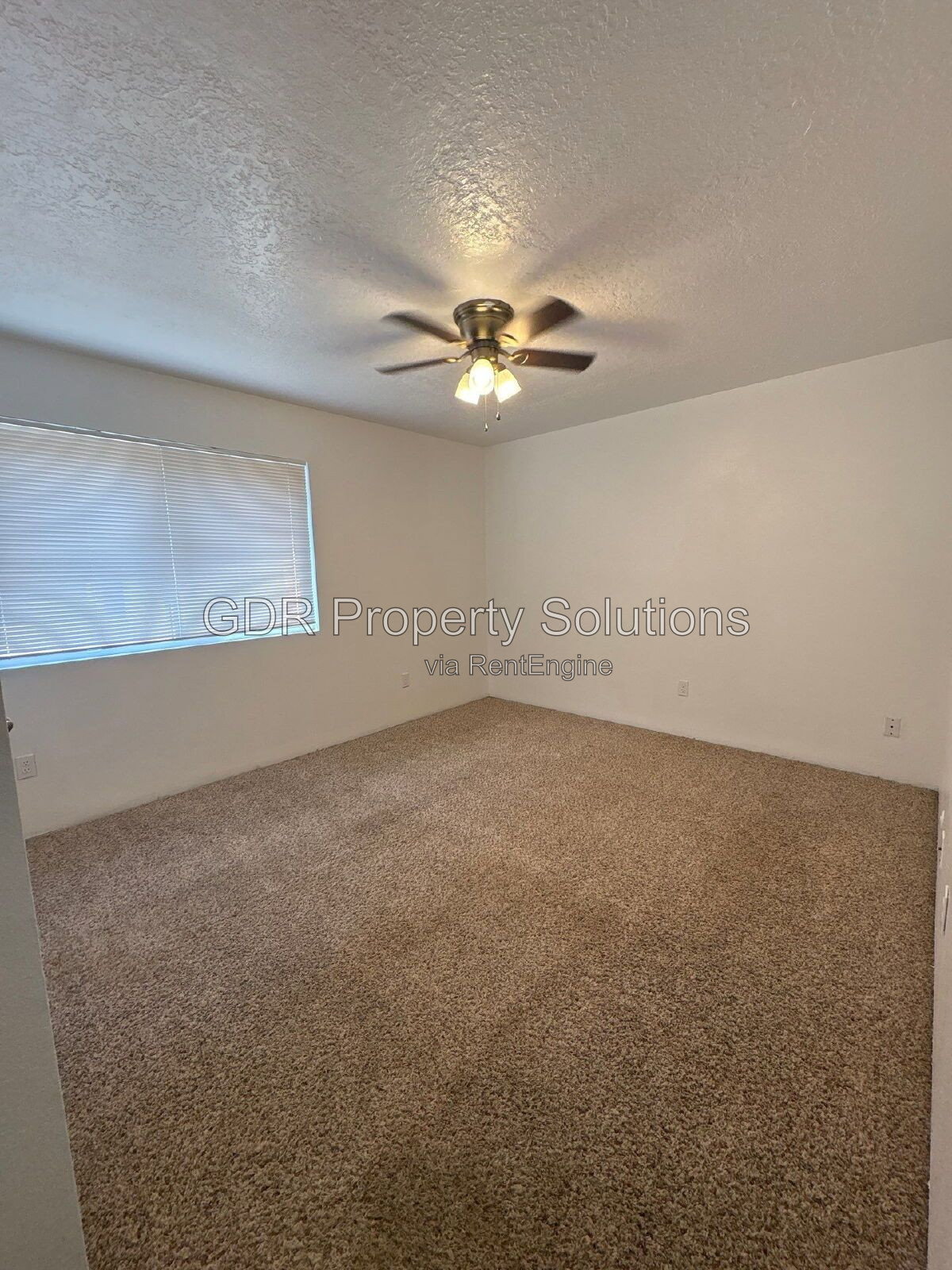 Gallery Image 32