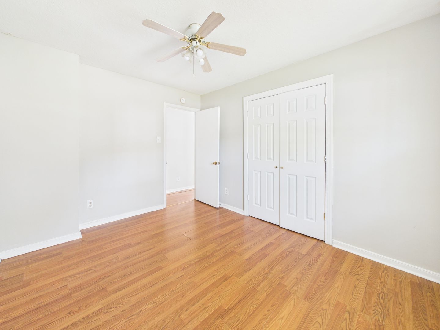 Gallery Image 11