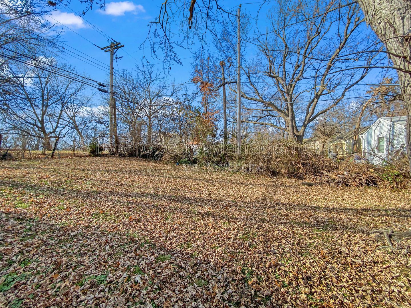 Gallery Image 15
