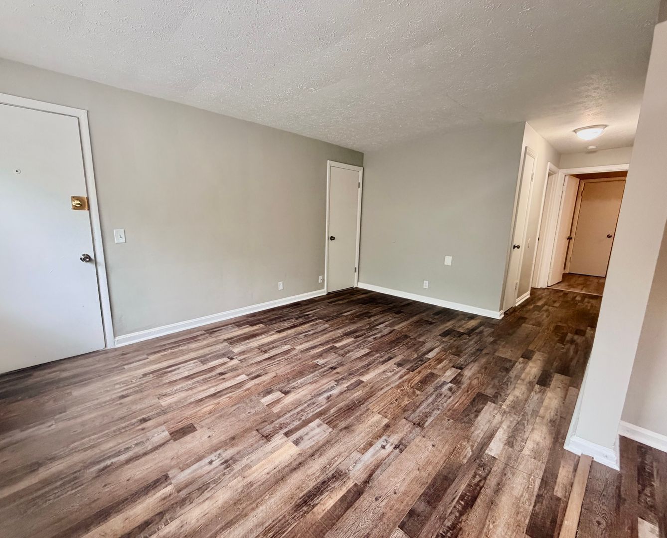 Gallery Image 0