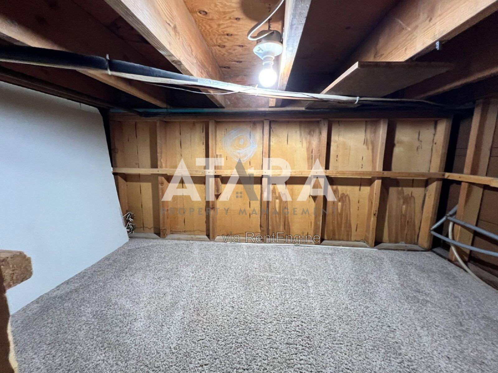 Gallery Image 54
