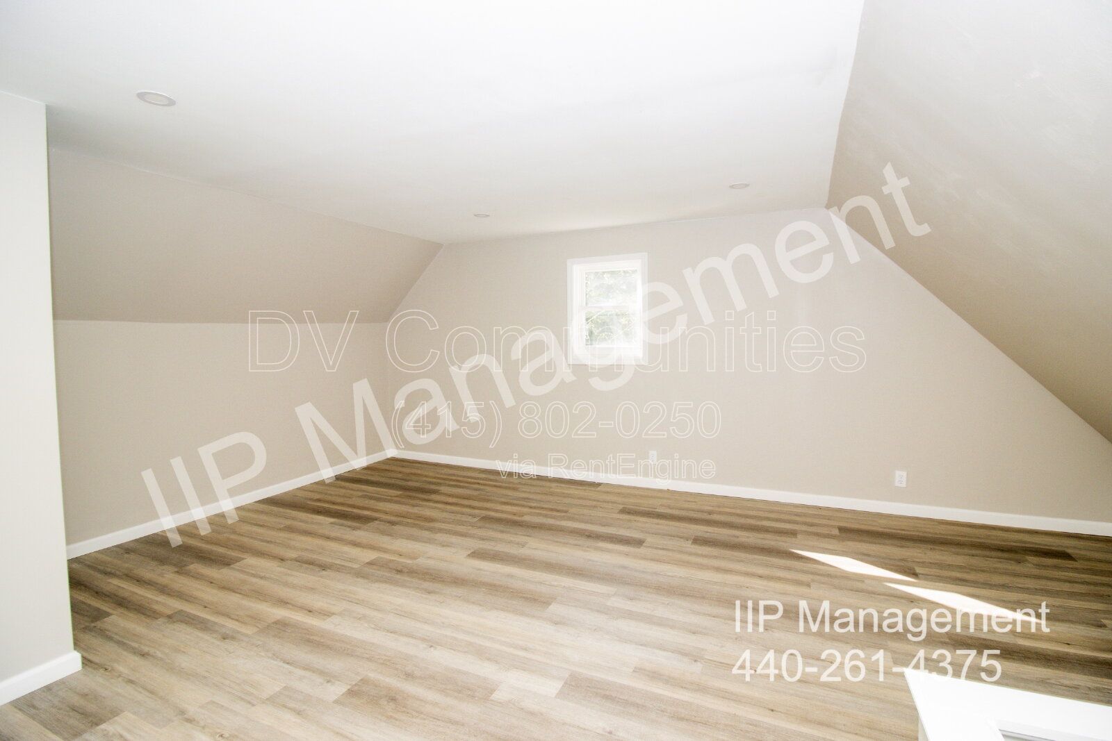 Gallery Image 20