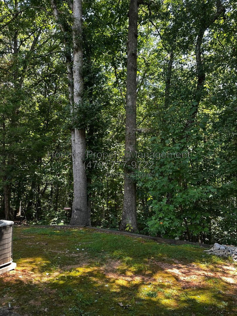 Gallery Image 18