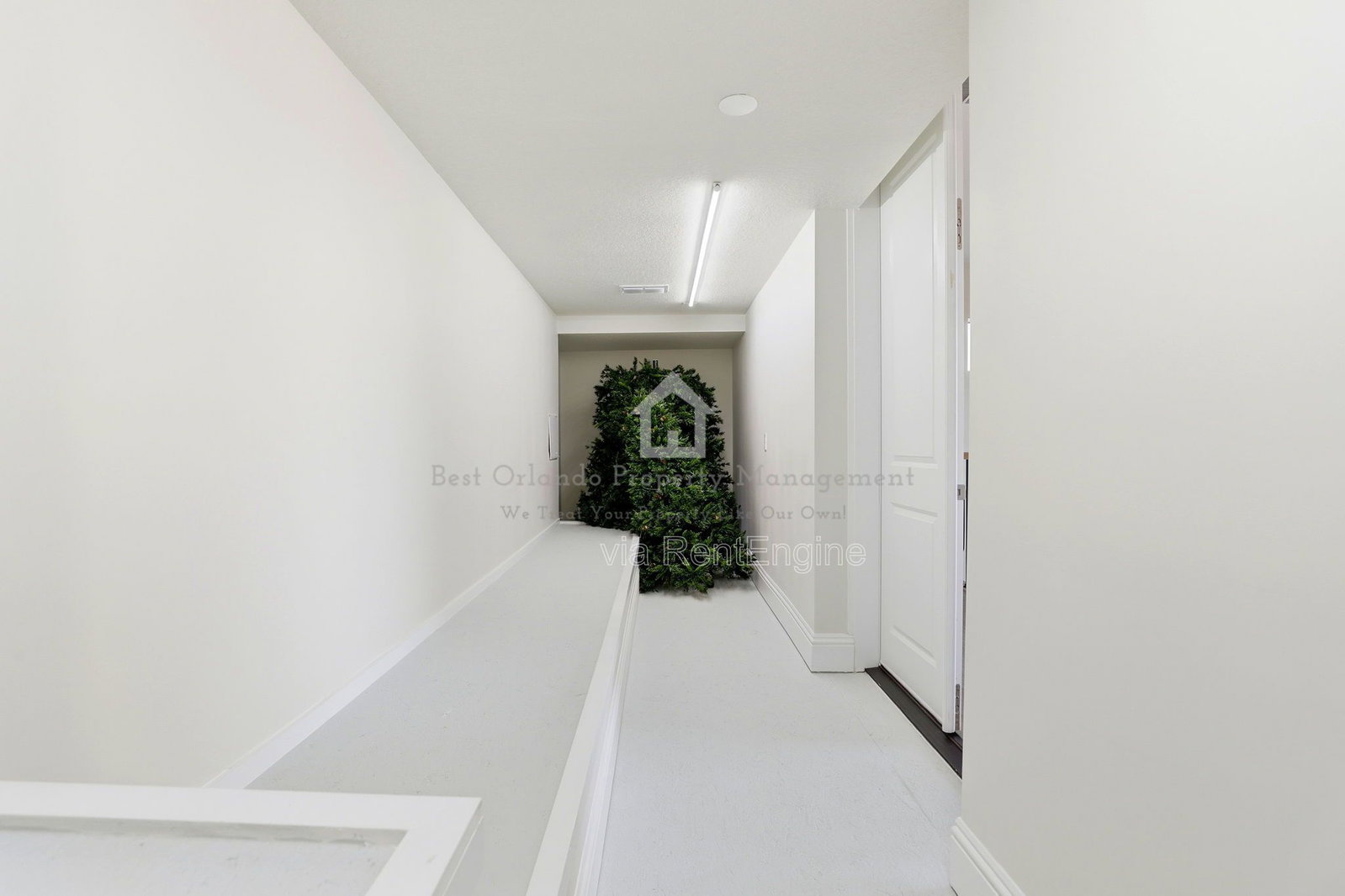 Gallery Image 41