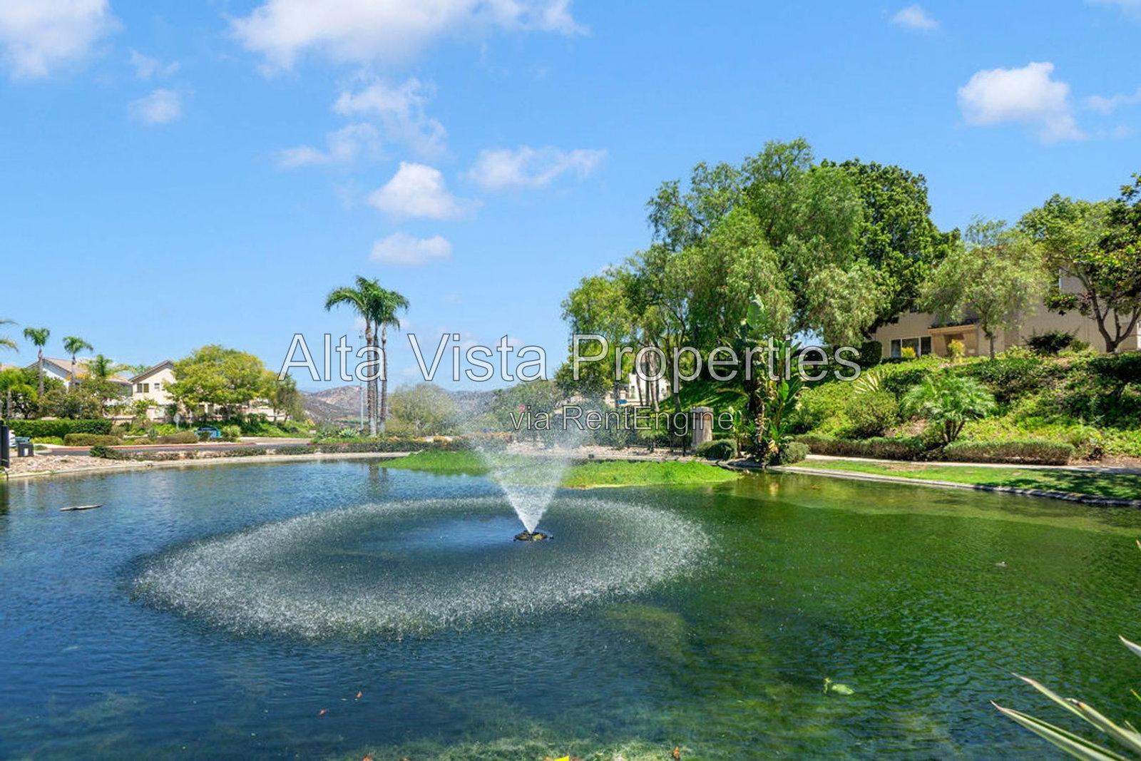 Gallery Image 34