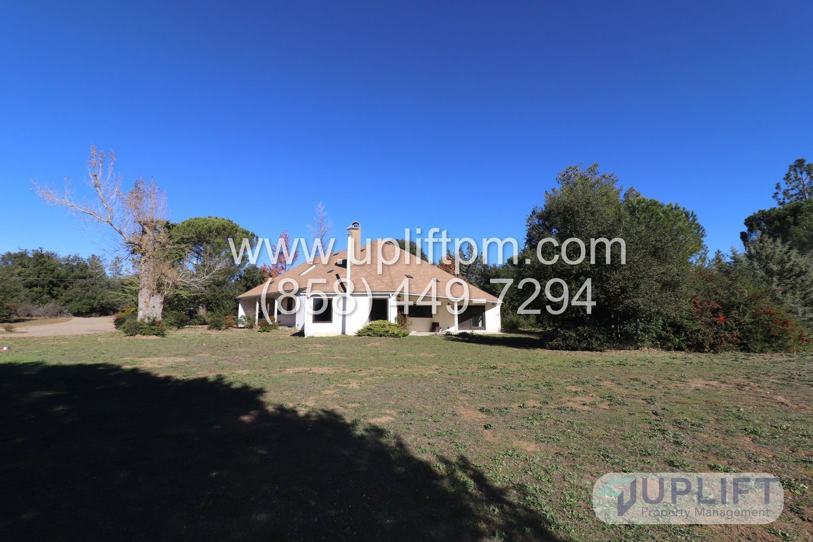 Gallery Image 17