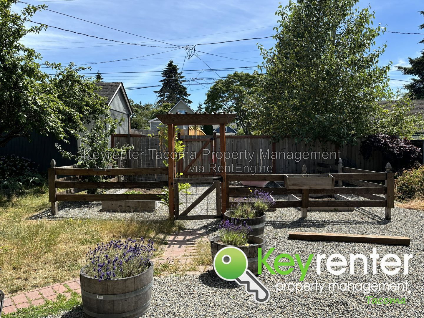 Gallery Image 42