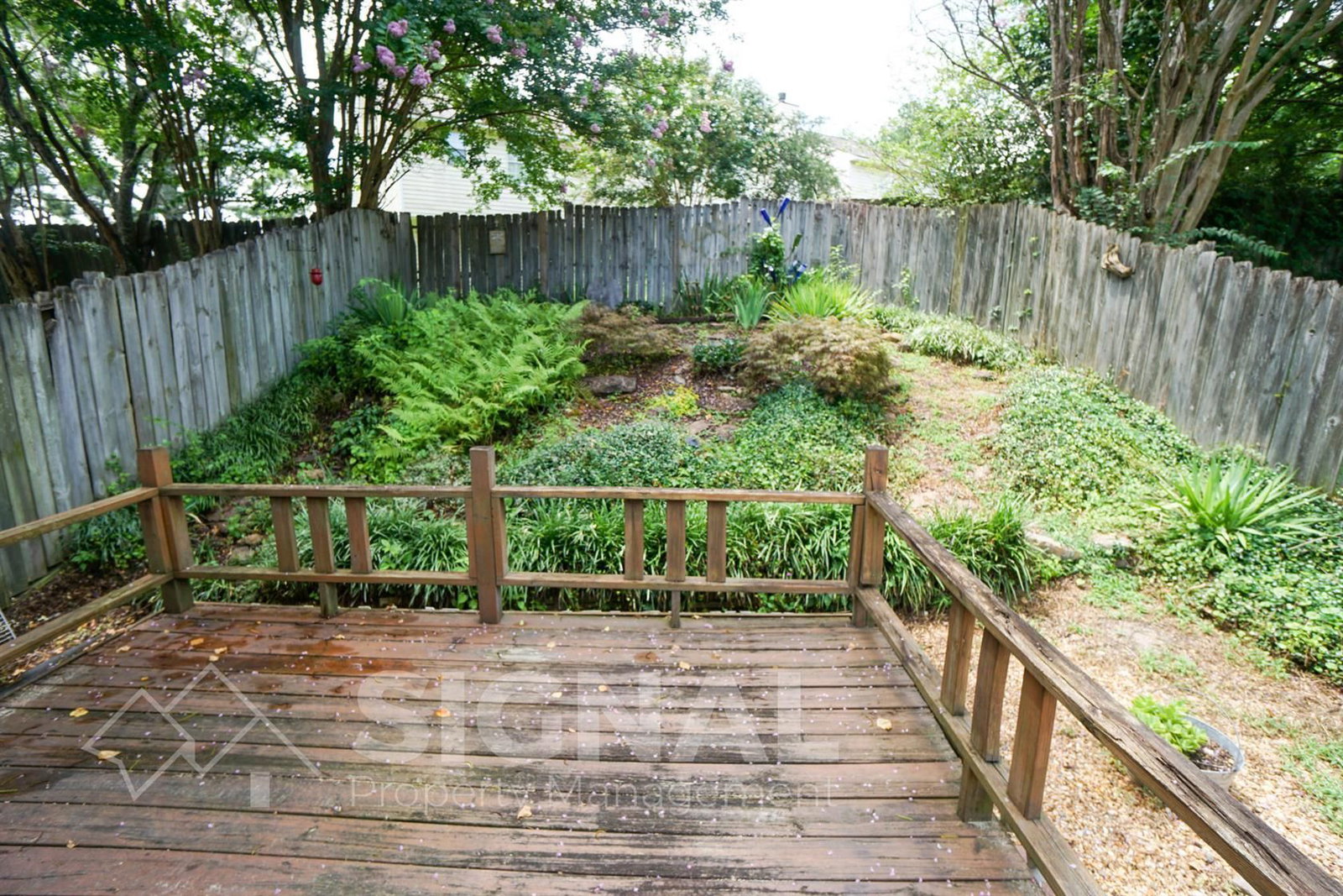 Gallery Image 18