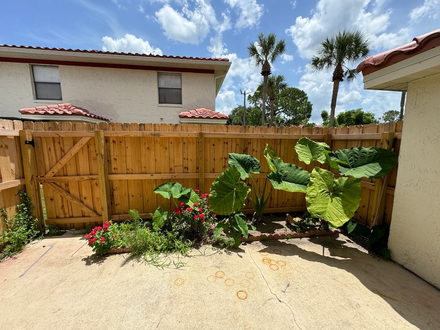 Gallery Image 20