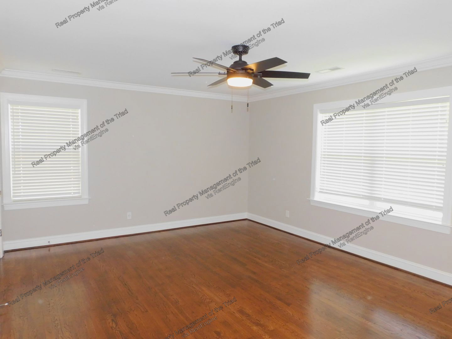 Gallery Image 19