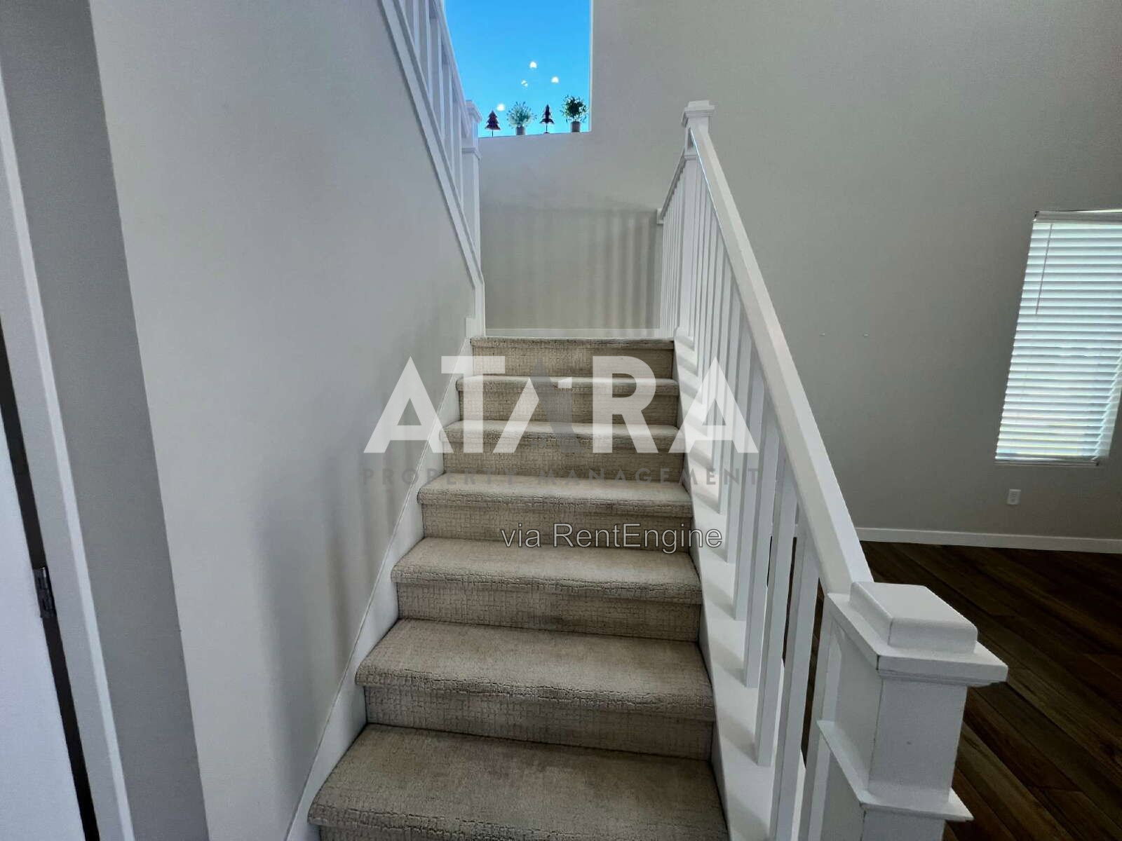 Gallery Image 28