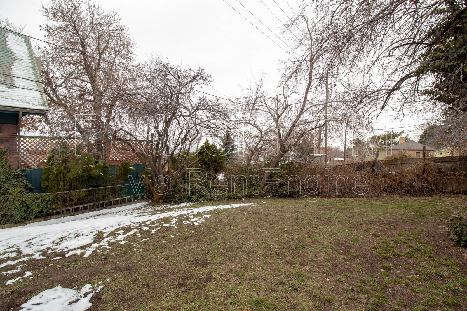Gallery Image 15