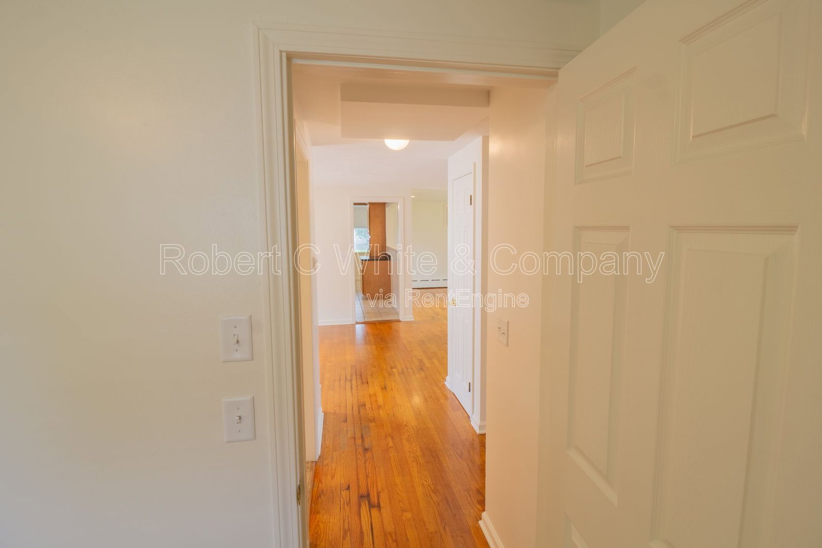 Gallery Image 26