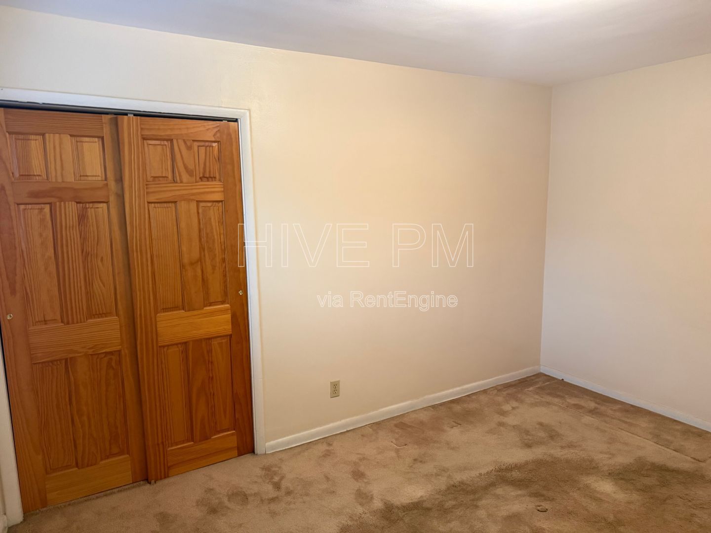Gallery Image 16