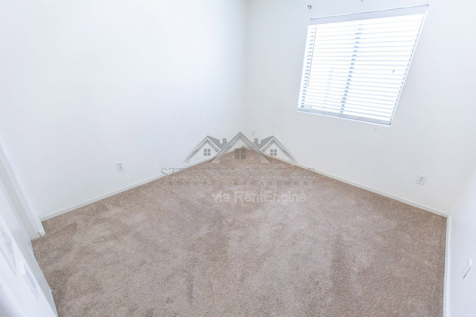 Gallery Image 31