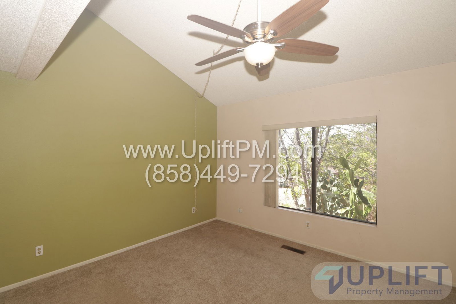 Gallery Image 20