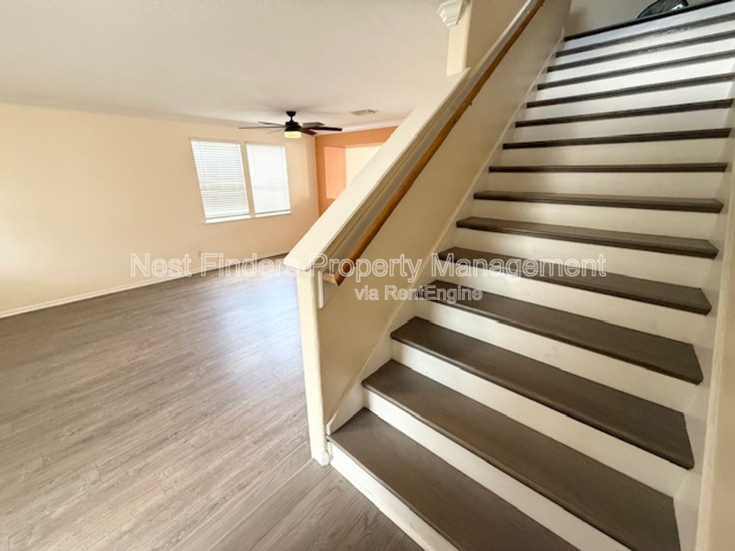 Gallery Image 16