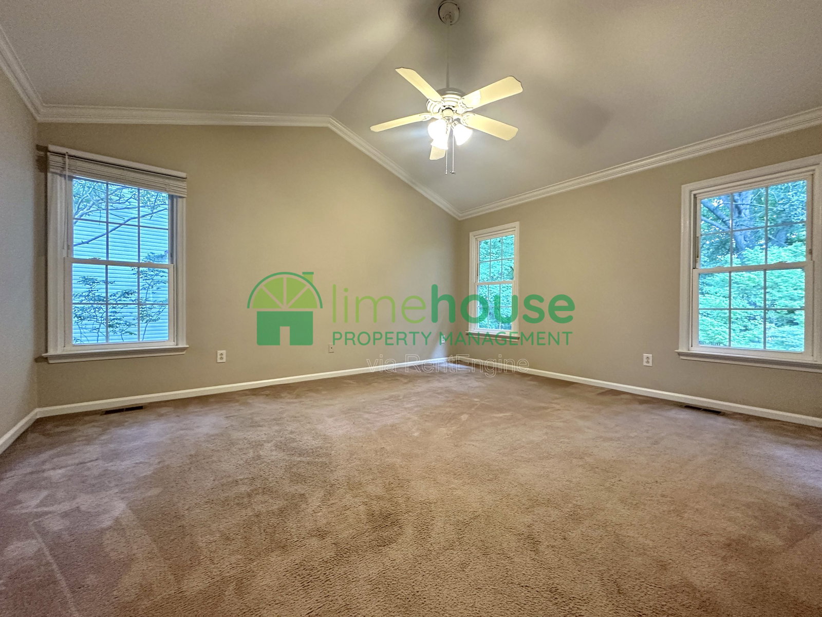 Gallery Image 18