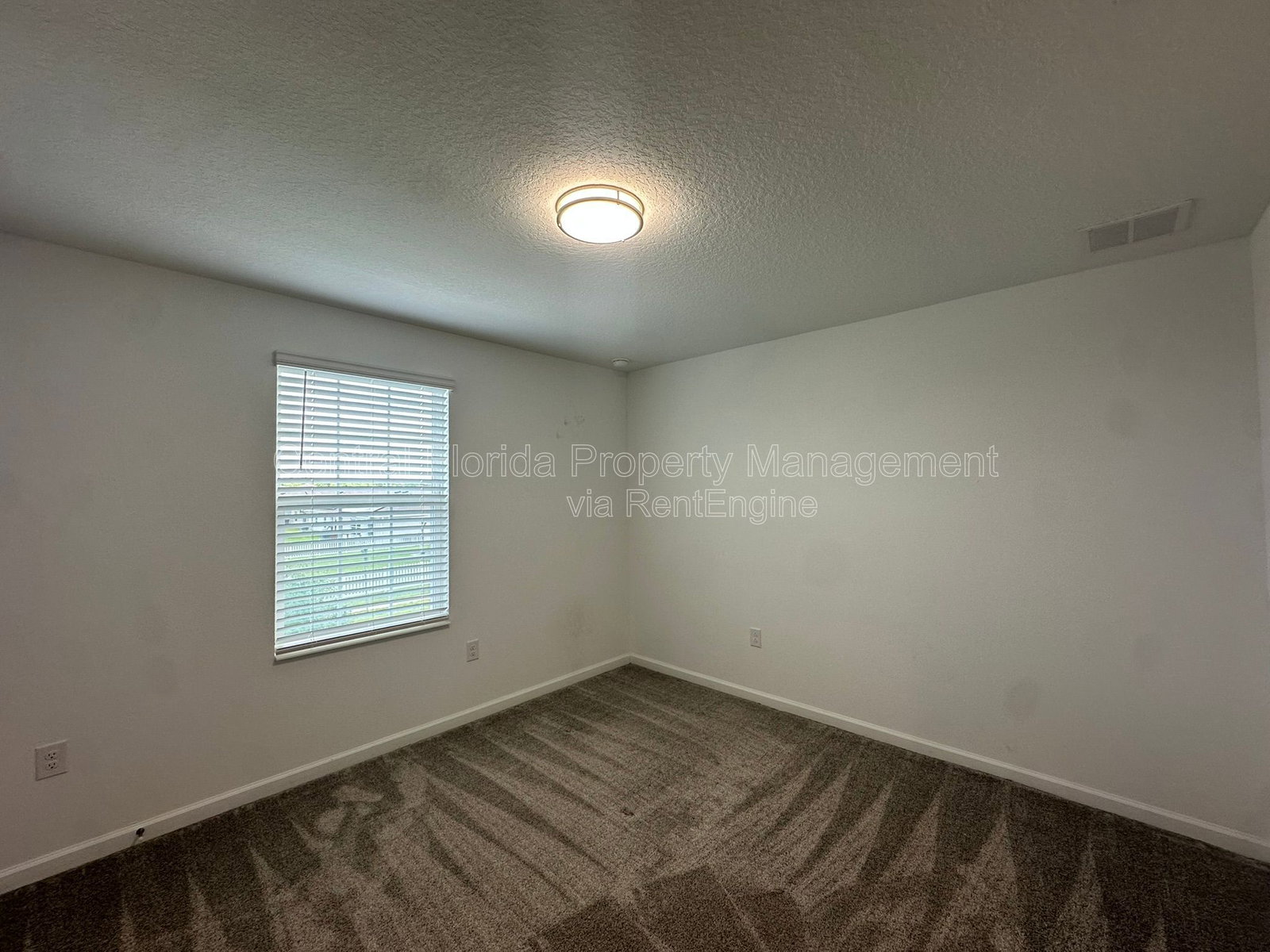 Gallery Image 19