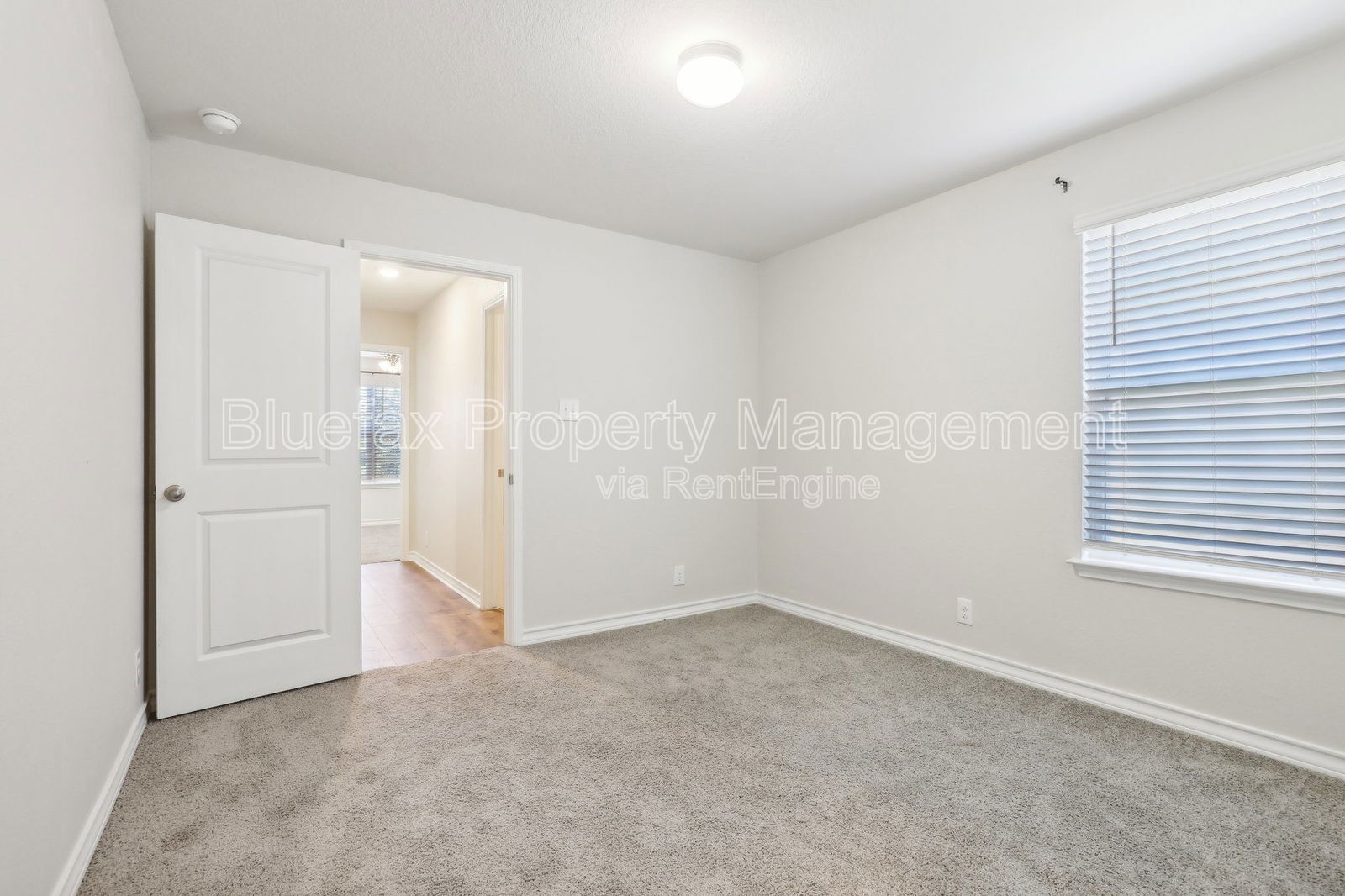 Gallery Image 19