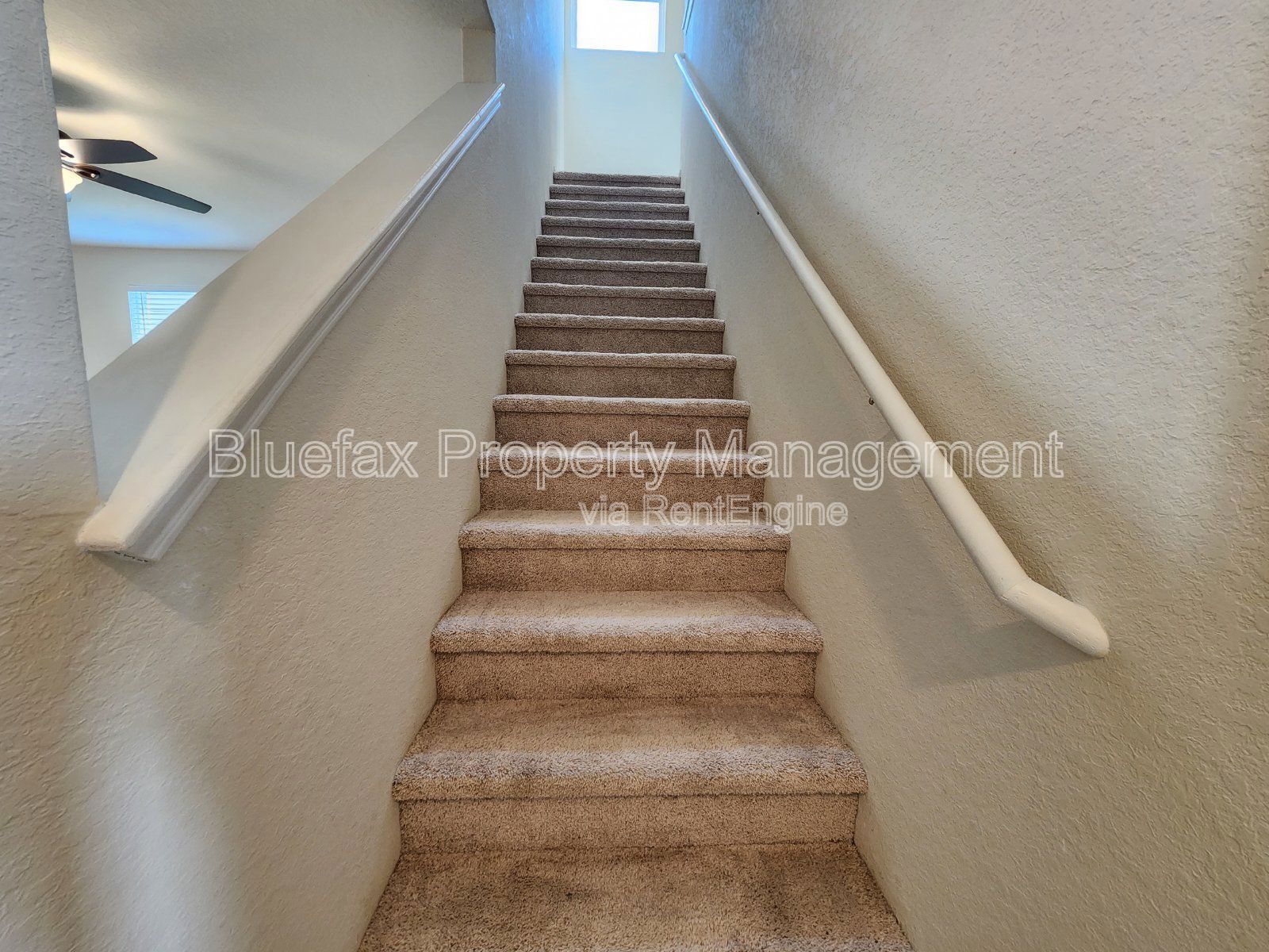 Gallery Image 21