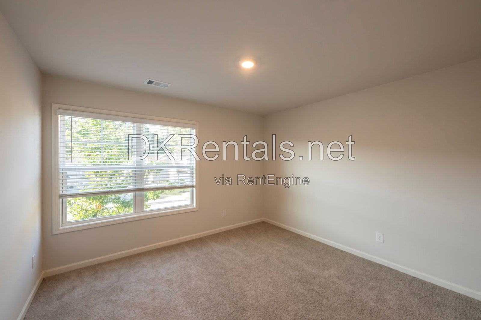 Gallery Image 31