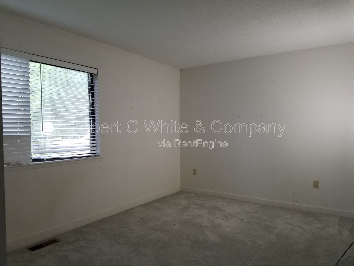 Gallery Image 23