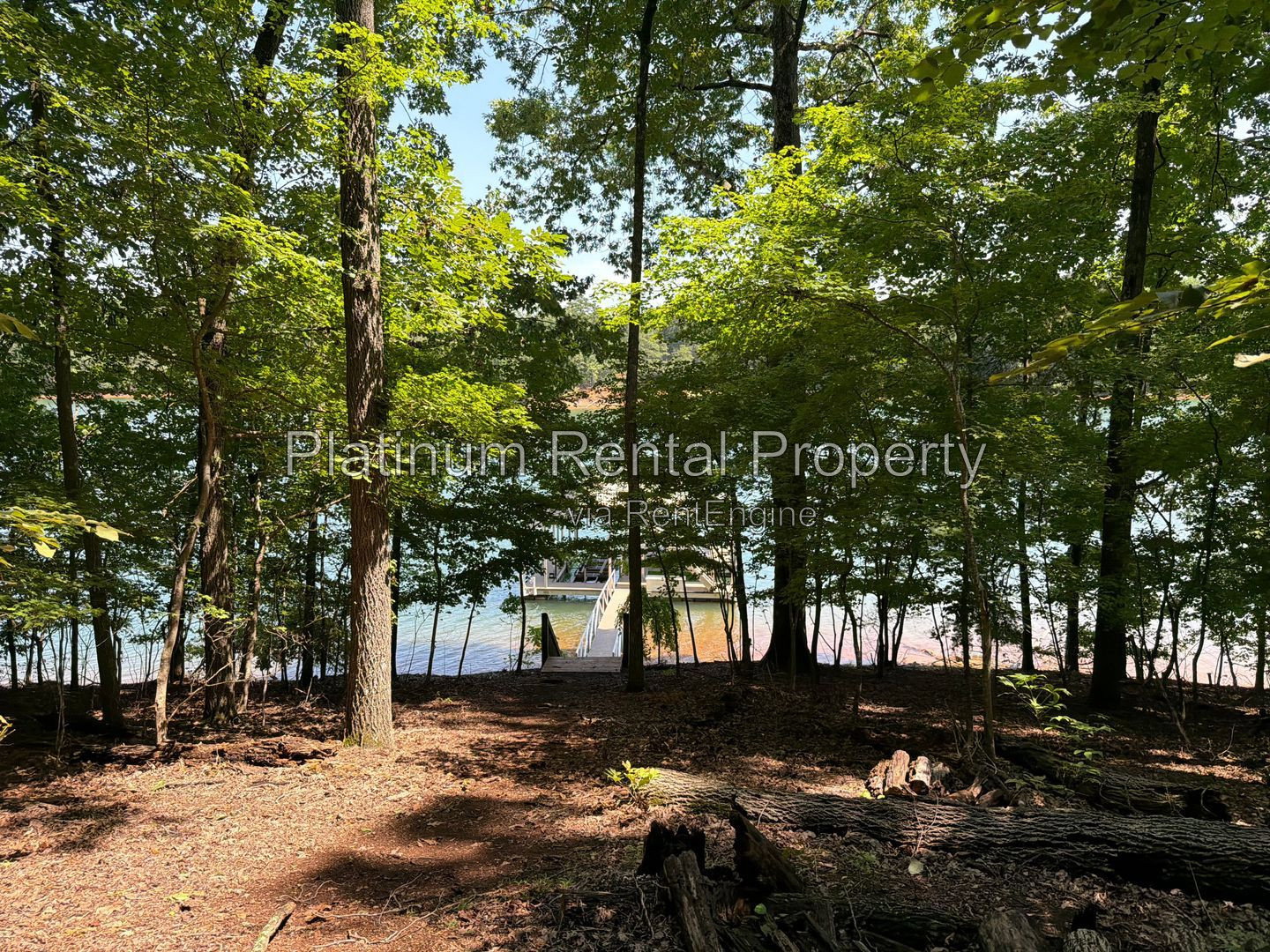 Gallery Image 38