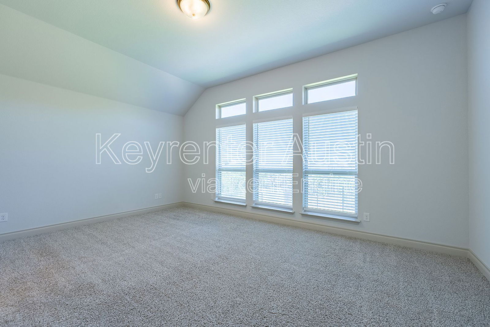 Gallery Image 20