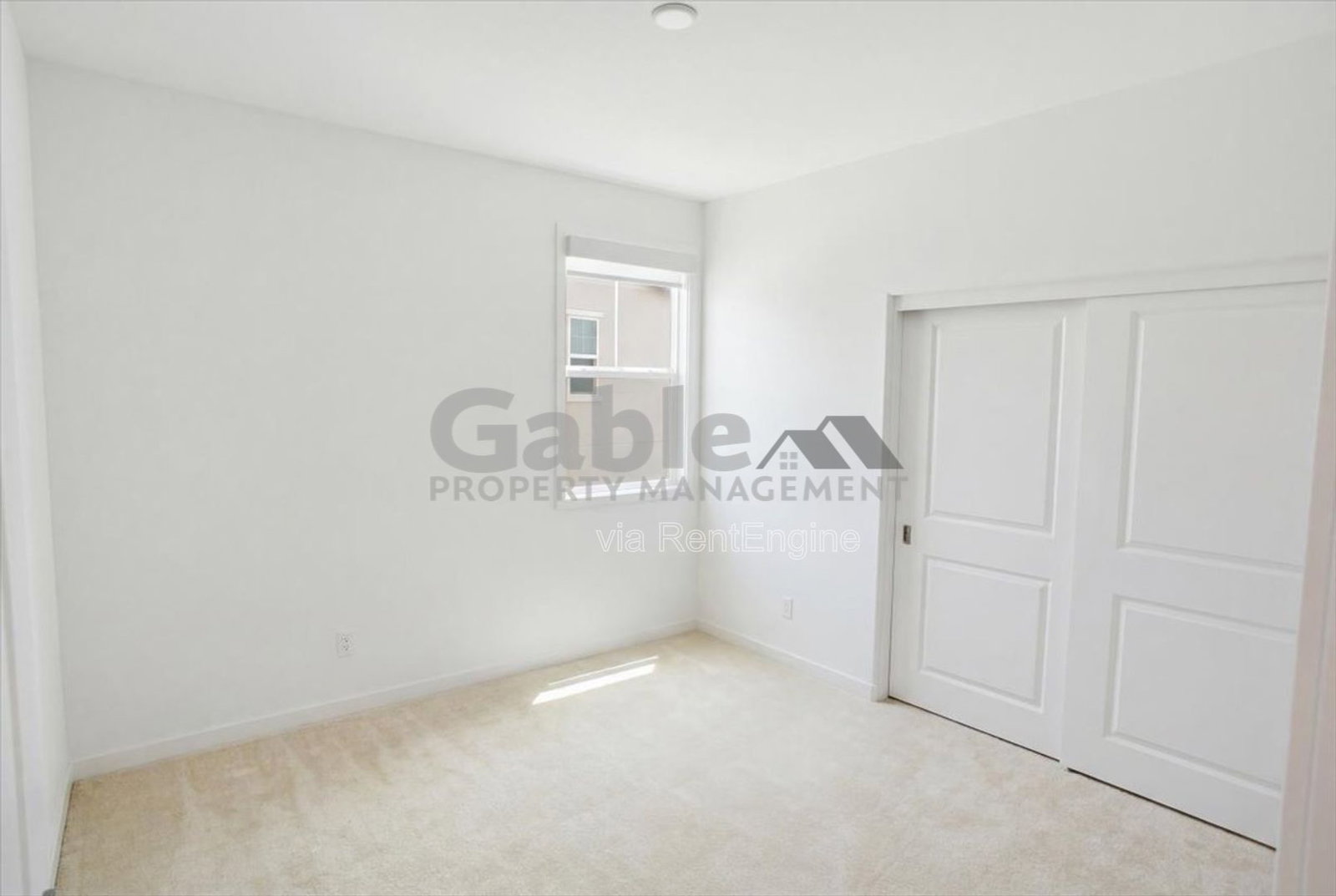 Gallery Image 25