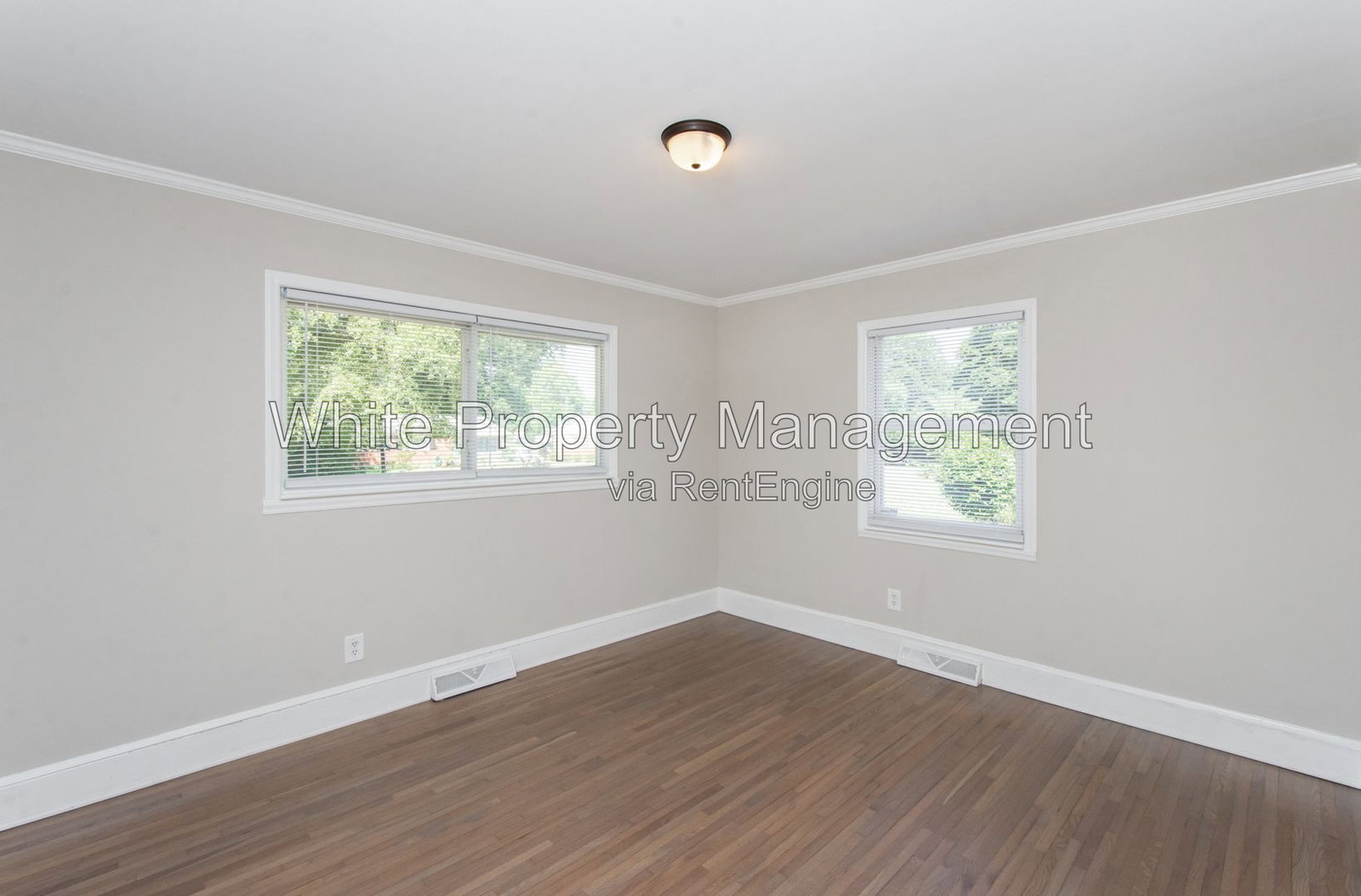 Gallery Image 19