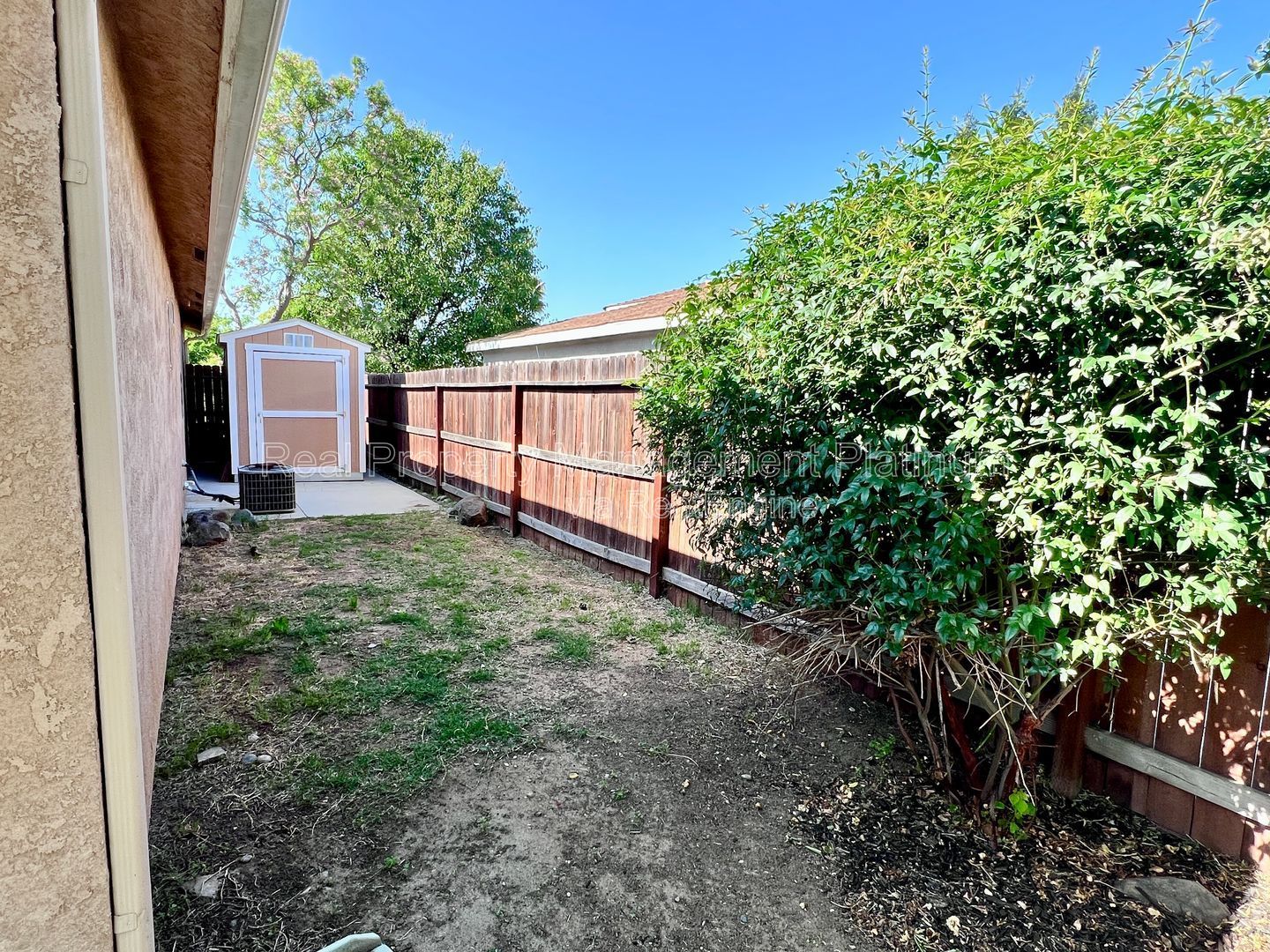Gallery Image 20