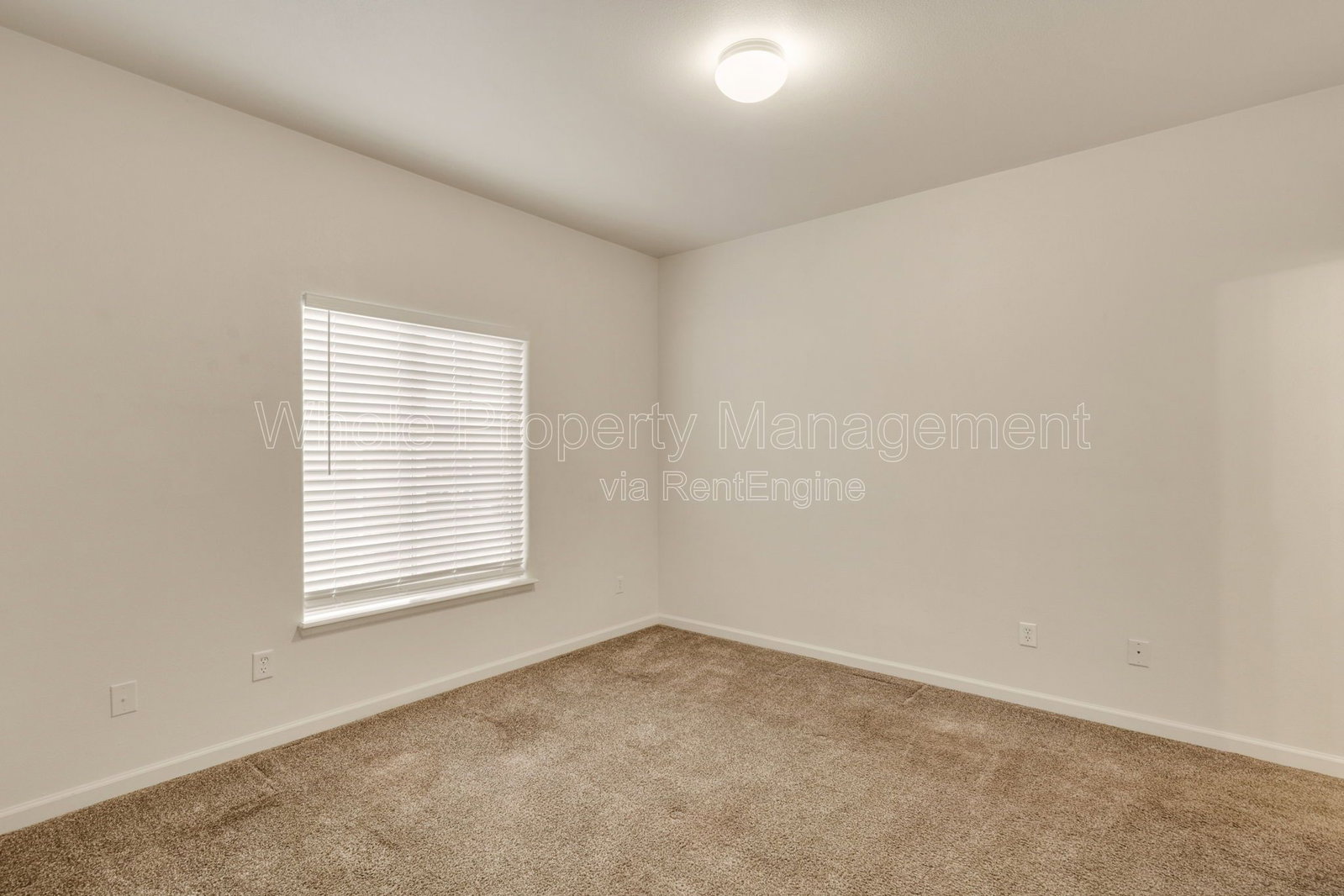 Gallery Image 20
