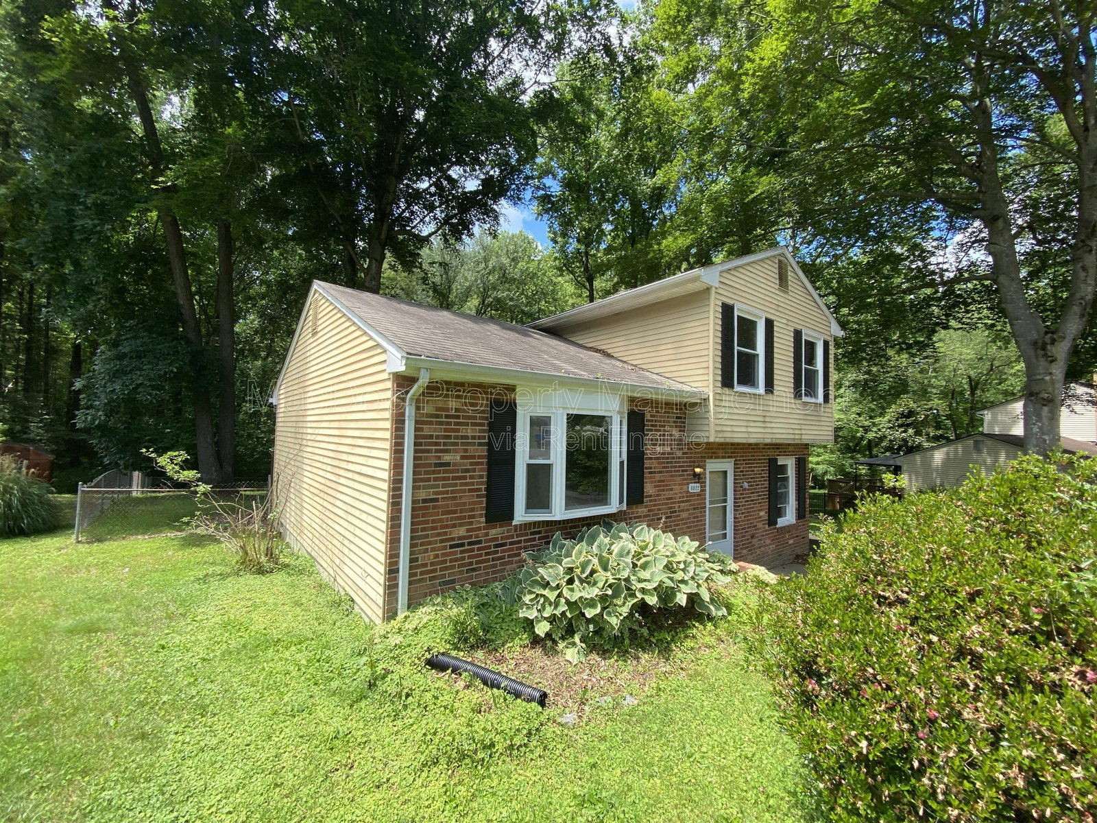 Gallery Image 17