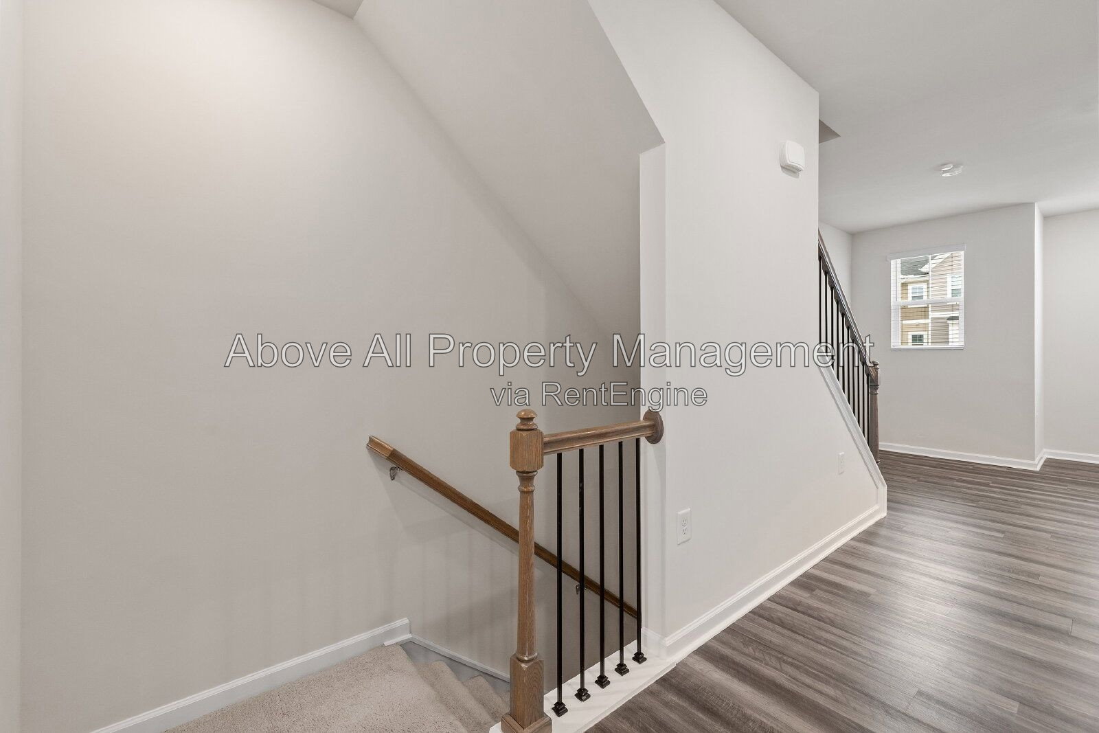 Gallery Image 22