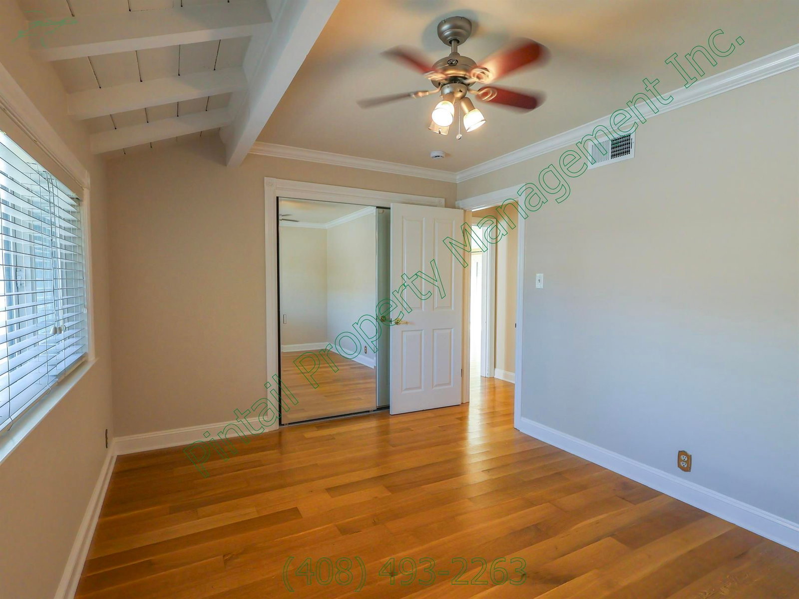 Gallery Image 15