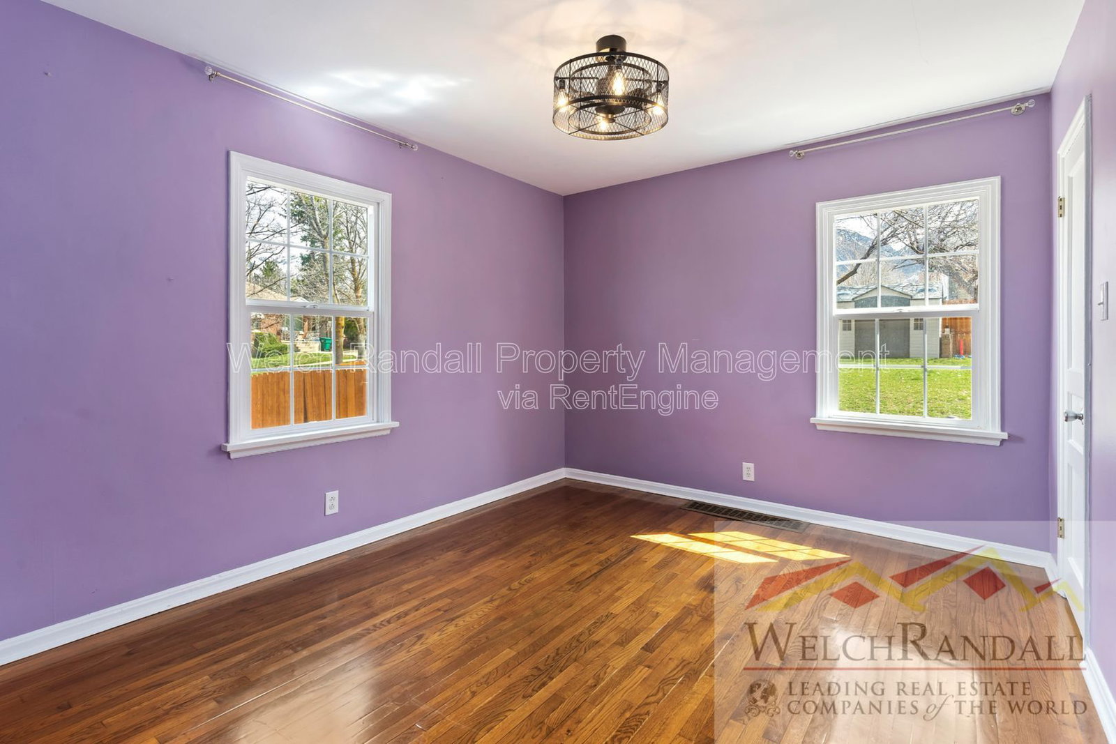 Gallery Image 7