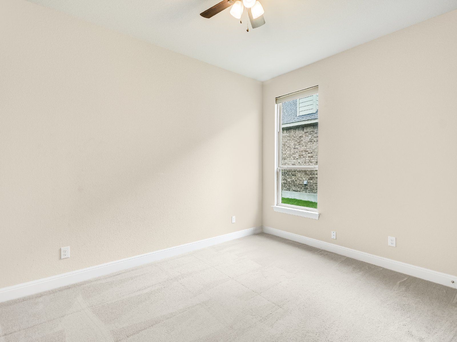 Gallery Image 19
