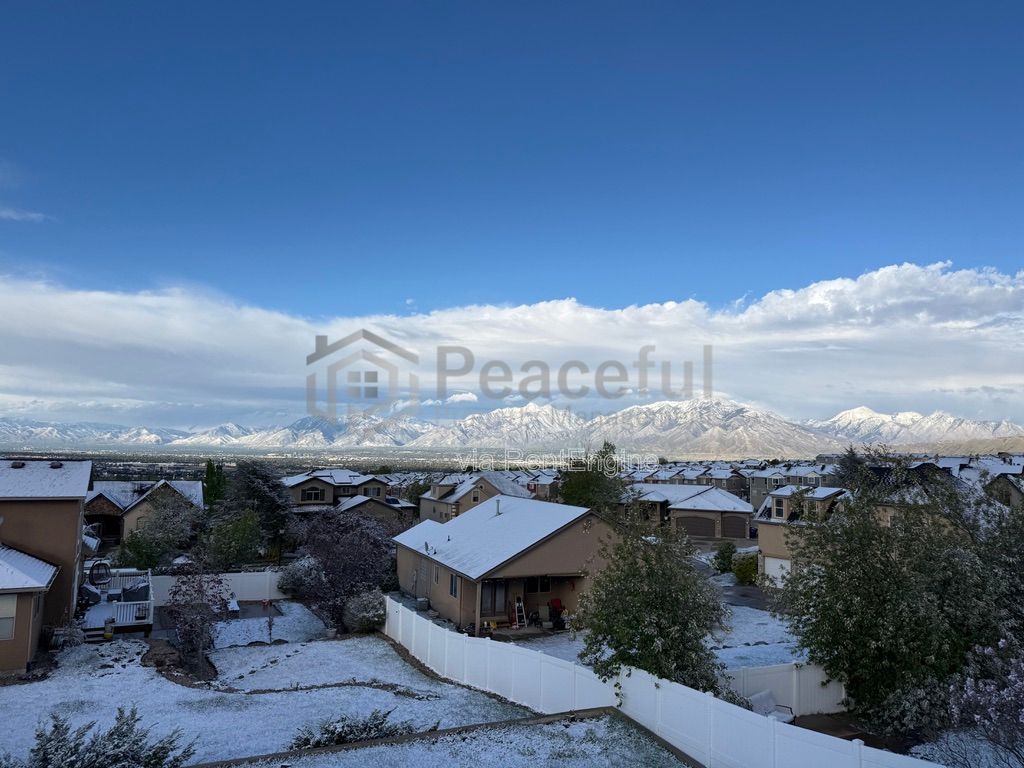 Gallery Image 26