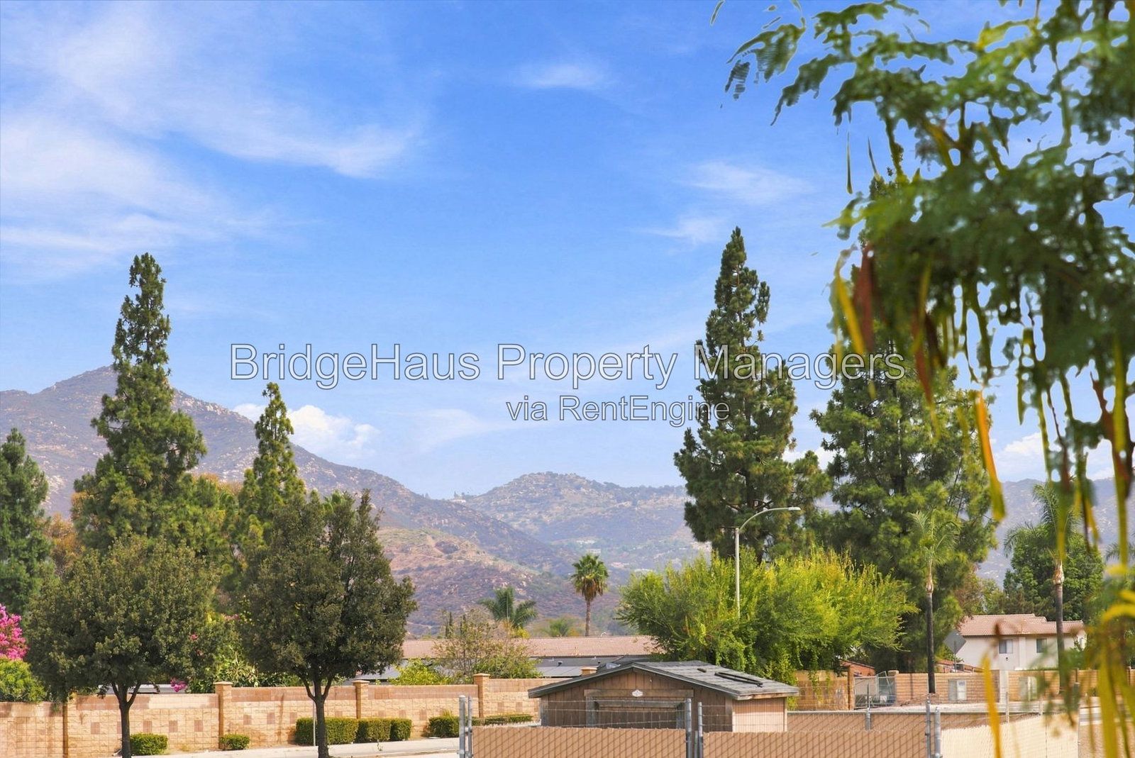 Gallery Image 37