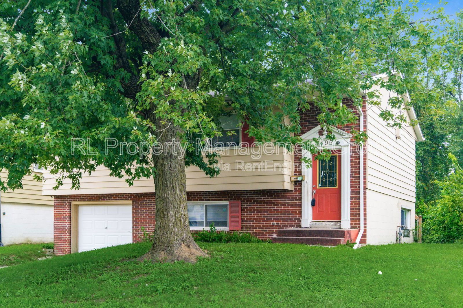 Gallery Image 0
