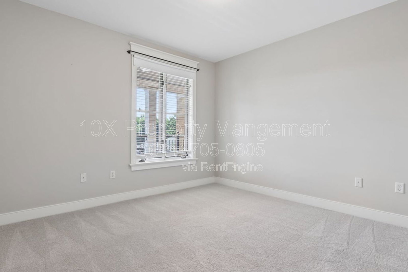 Gallery Image 10