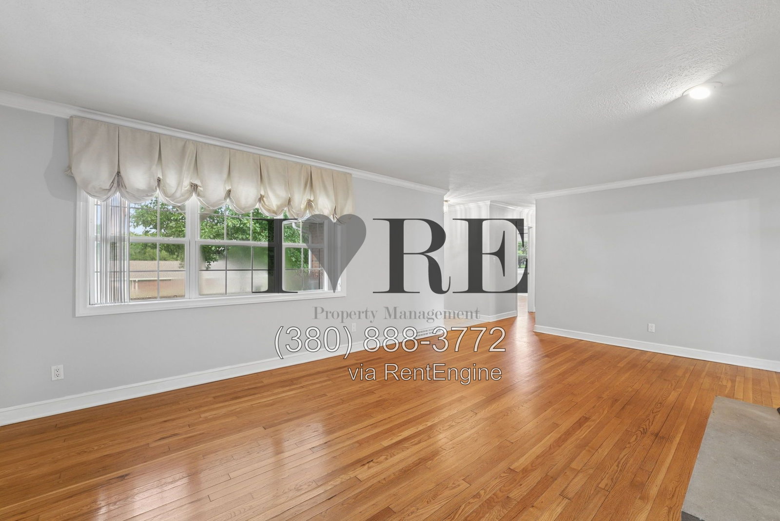 Gallery Image 17