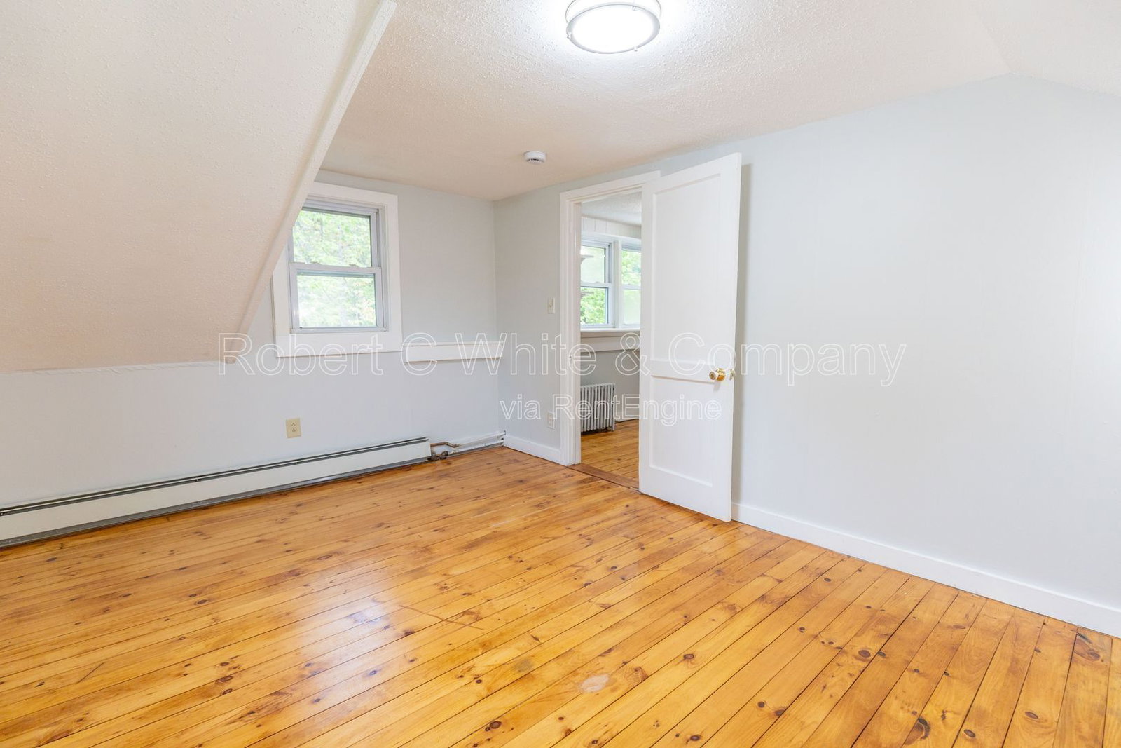 Gallery Image 20