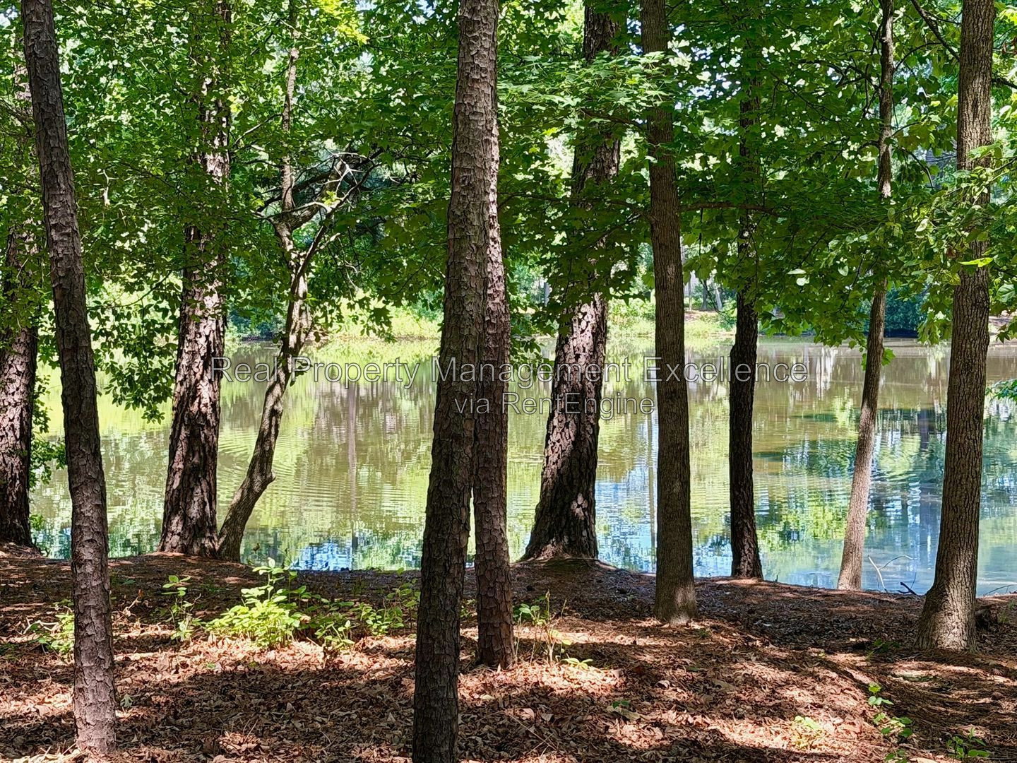 Gallery Image 63