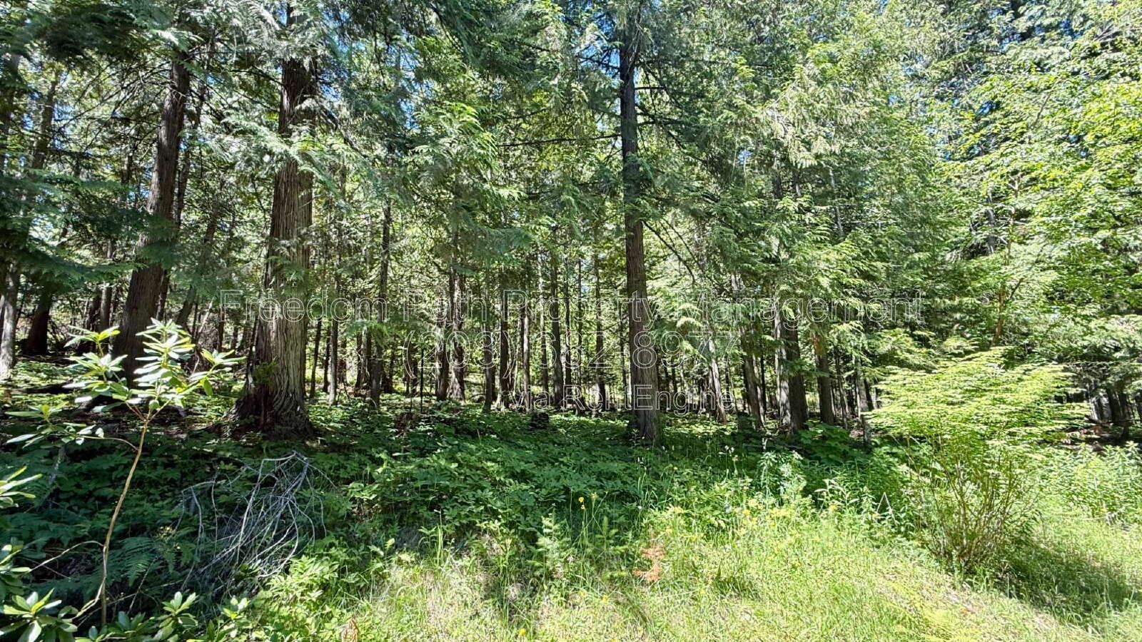 Gallery Image 46