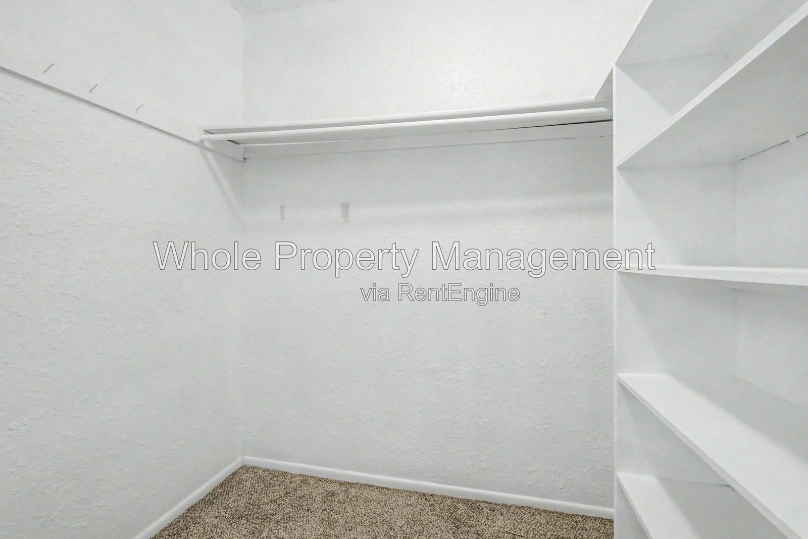 Gallery Image 19